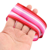 Lesbian Pride Lanyard